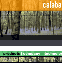 Examples of branding and identity for calaba.com