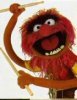 _muppets-animal 2.jpg