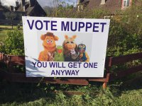 vote muppet.jpg