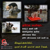 SL Floods 2.jpg