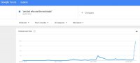 real nazis google trends.jpg