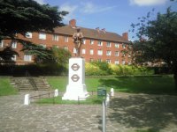 streatham war memorial tree.jpg