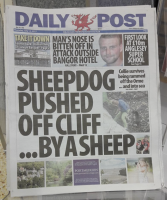 sheepdog-pushed-off-cliff.png