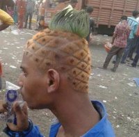 mr_pineapple_head.jpg