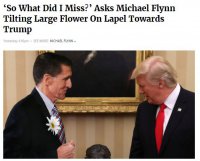 flynn.JPG