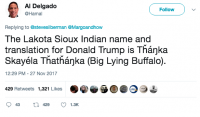 biglyingbuffalo.png