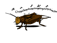 cricket chirping.png