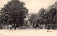 Brixton Acre Lane c1900.jpg