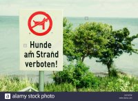 sign-hunde-am-strand-verboten-german-for-no-dogs-allowed-on-the-beach-DDYKFW.jpg