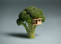 Broccoli-Tree-House_183869_profile.jpg