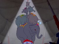 dumbo.jpg