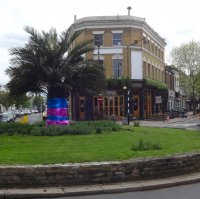 dulwich hamlet goose green tree age84.jpg