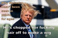 trump hair.JPG