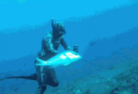 007-animal-gif-071-fish.gif