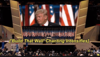 buildthatwall.png