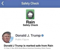 trumprain.png