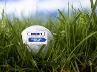 35536866-golf-ball-in-long-grass.jpg