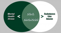 dual-diagnosis-mental-health-illness-substance-use-issues-diagram.png