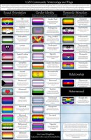 lgbt_community_terminology_and_flags_by_lovemystarfire_d7et5c6-pre.jpg