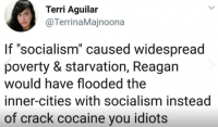 reagansocialism.png