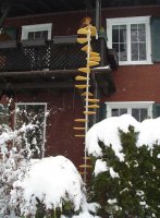 cat-ladder-20090820-135338.jpg