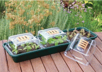 sankey-windowsill-propagator.GIF