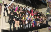 post-urban75net-collection-shelfies_20190821-001-action_figures;wrestling.jpg