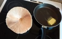 Mushroom & pan Aug 22nd 2019 smaller.jpg