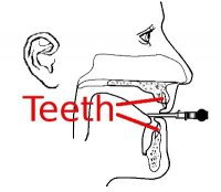 EwellEmbouch_Fig3_BSN_Teeth.jpg