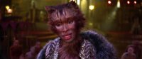 cats-trailer-1.jpg