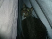 Under the duvet cover.JPG