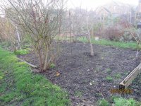 allotment december 2019 028.JPG