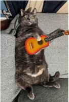 ukelele-kitteh.jpg