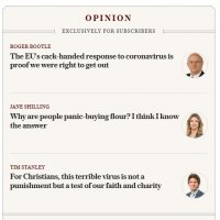 Telegraph opinion pieces.jpg