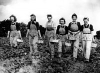 land_girls_strawberry_picki.jpg