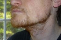 Beard cropped.JPG