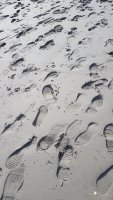 footprints.jpg