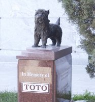 Toto-4-blog.jpg