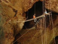 Harvesting-Cave-Swiftlet-nests-at-Gomantong-Caves-Source-Travel-Guide-Gomantong-Caves.html.jpg