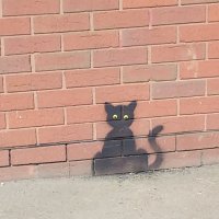 wall-cat.jpg