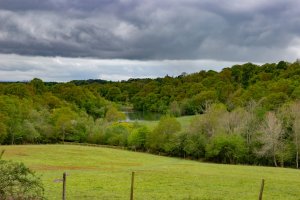 Wakehurst Place_-18.jpg