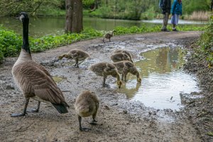 Wakehurst Place_-20.jpg