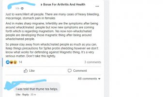 borax antivax magnets.jpeg