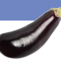 eggplant03.png