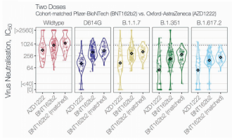 Two dose variant neutralisation of AZD1222 and BNT162b2 (age cohort matched).