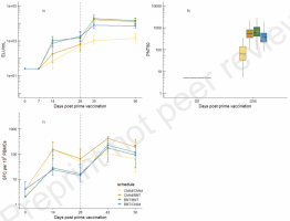 Plots of SARS-CoV-2 anti-spike IgG levels, pseudotype virus (VSV wild type) neutralising antibody levels, and cellular response.