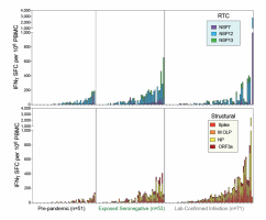 Magnitude of T cell response to RTC and structural regions for uninfected, exposed seronegative and infected cohorts.