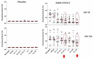 Ad26.COV2.S induced neutralising antibody titres over time for assorted early type and VOCs.