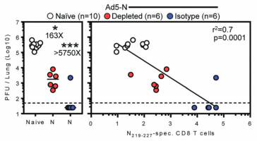 Four days after WA SARS-CoV-2 challenge, viraltiters in lungs of naive and vaccinated mice (left); those titres plotted against N-specific T cells (right).