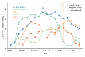 Diversity in SARS-CoV-2 lineages over time by country.